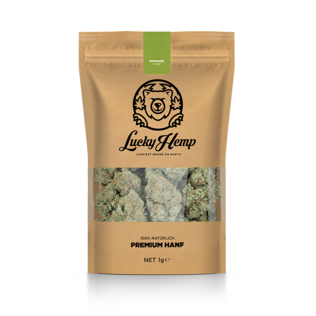 Amnesia Haze mit Sichfenster