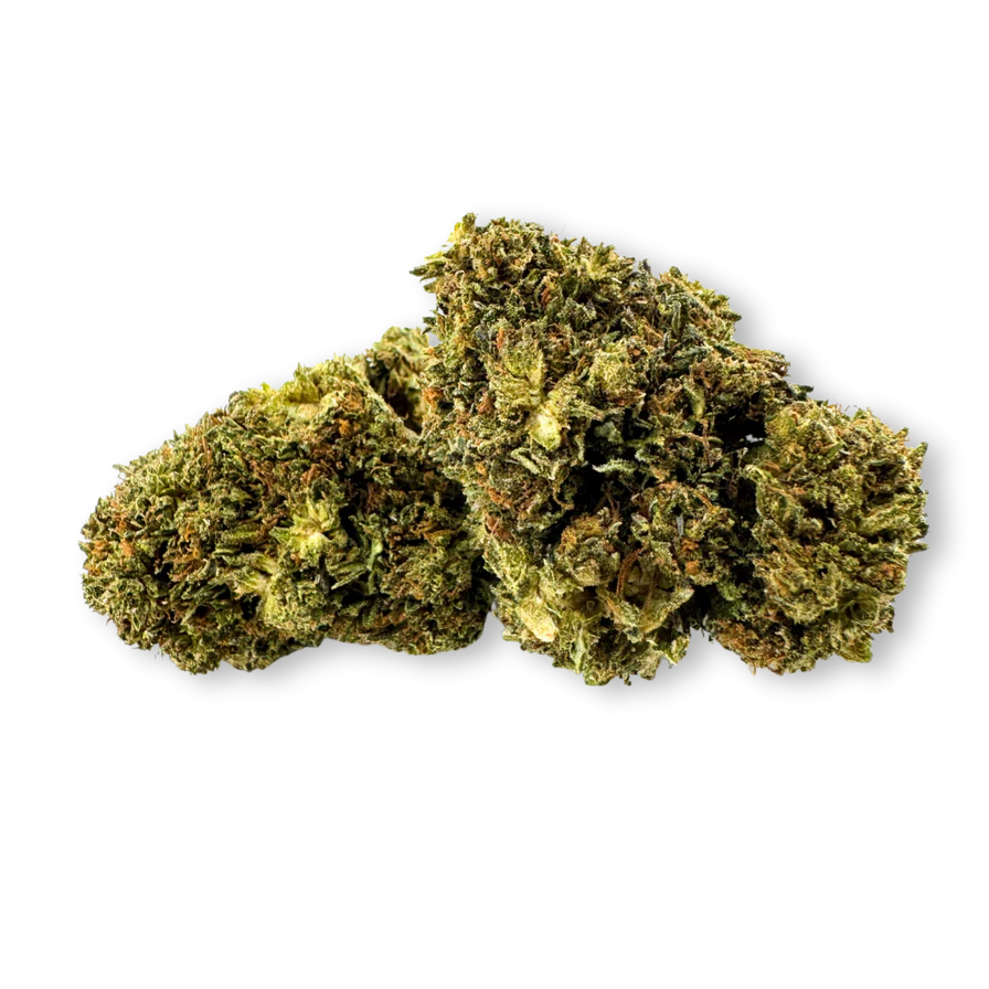 Chocolope Bulkware