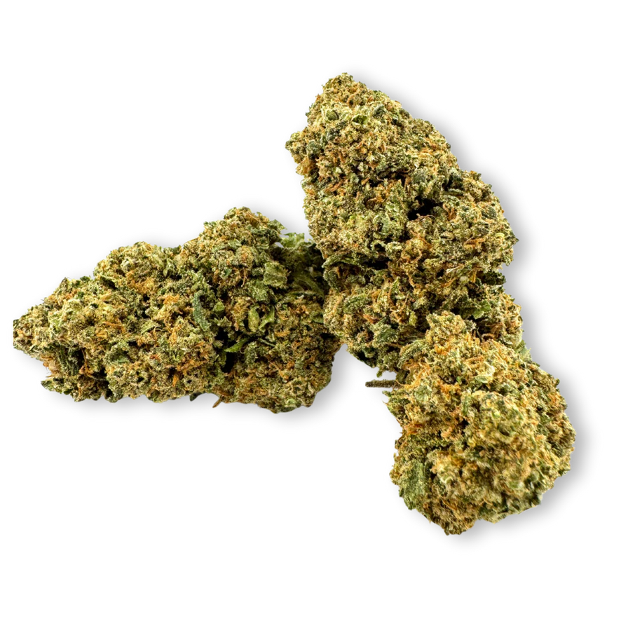 Gorilla Glue Bulkware