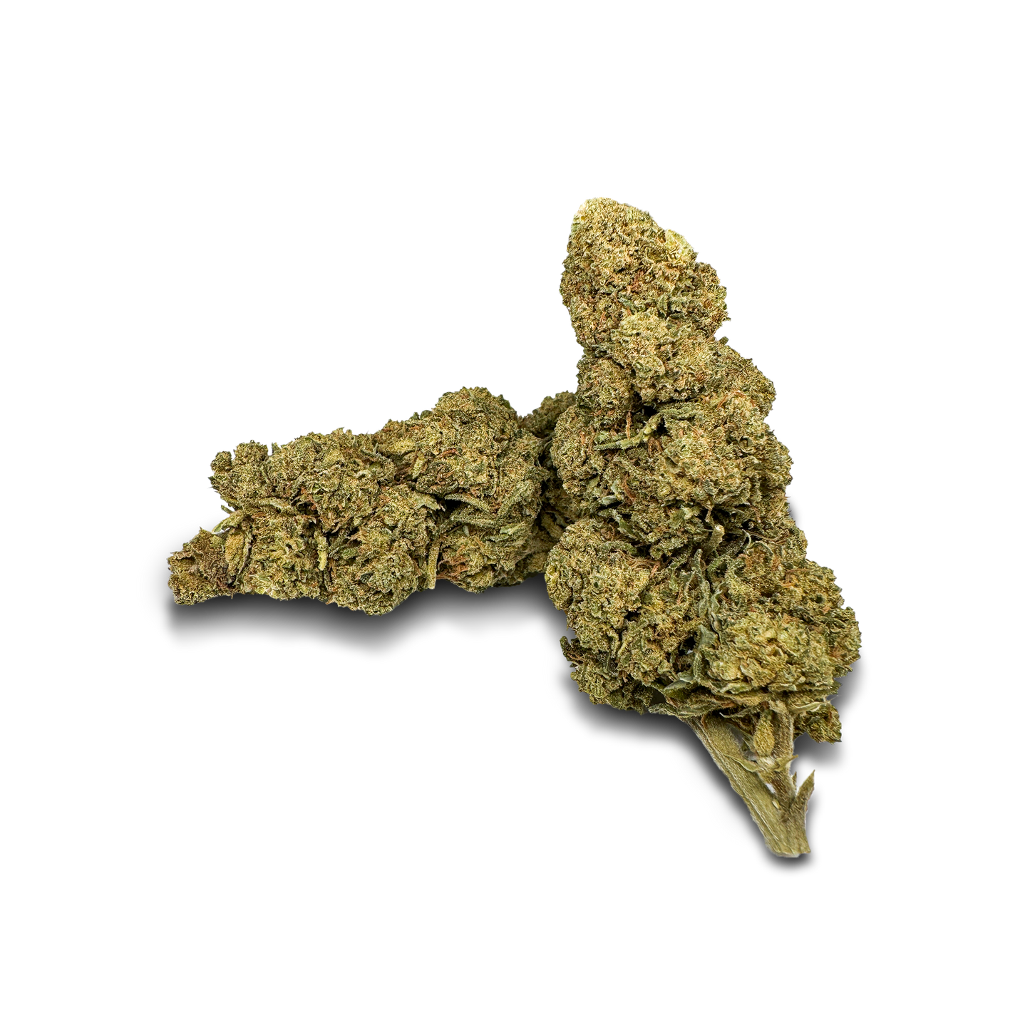 Orange Bud Bulkware