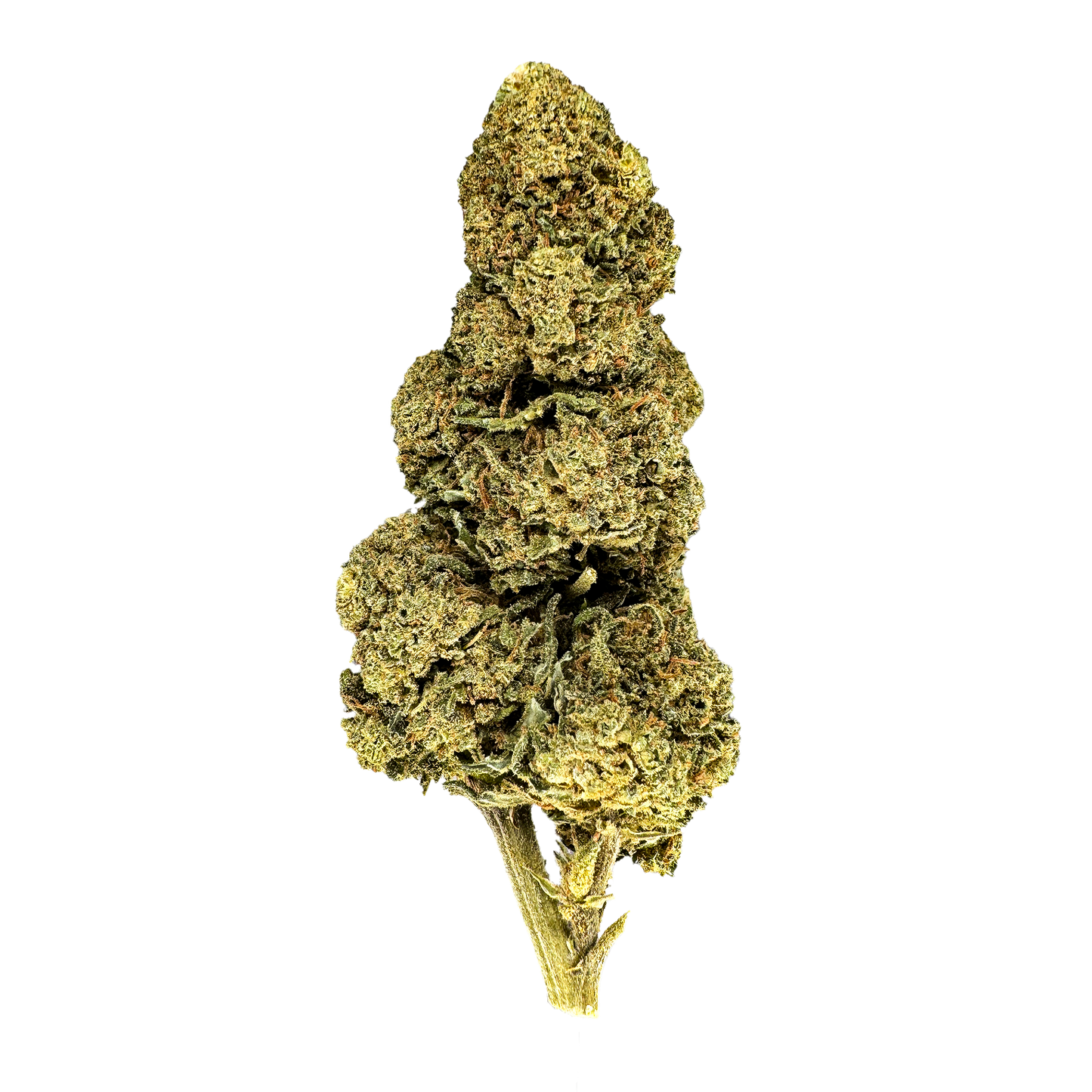 Orange Bud Bulkware