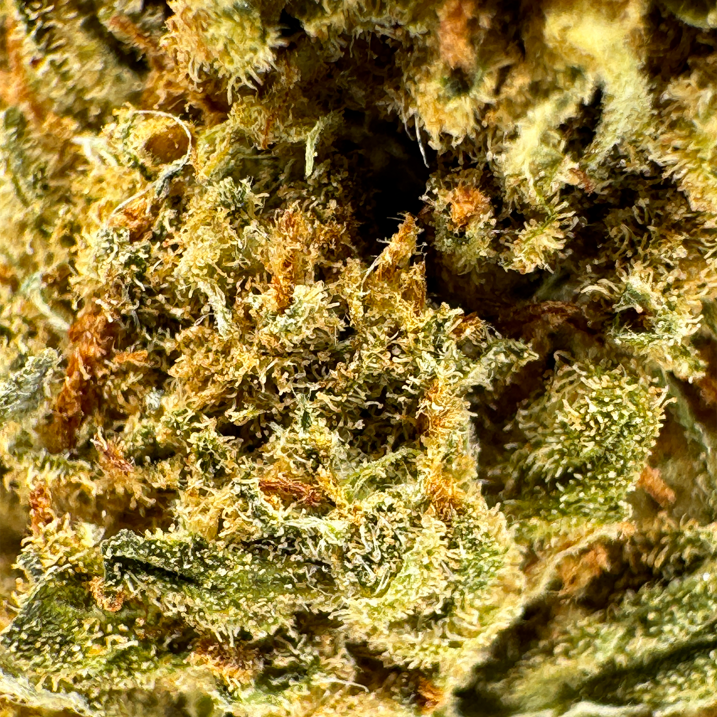 Super Lemon Haze Bulkware