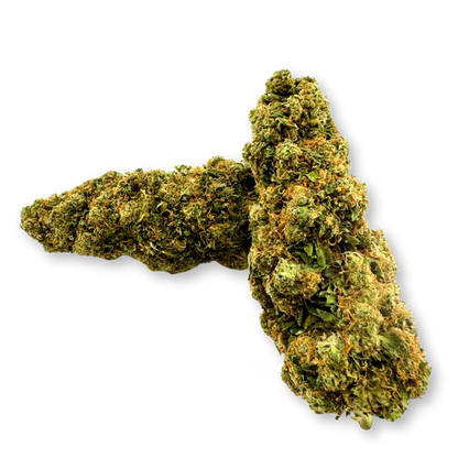 Godzilla Ökopack