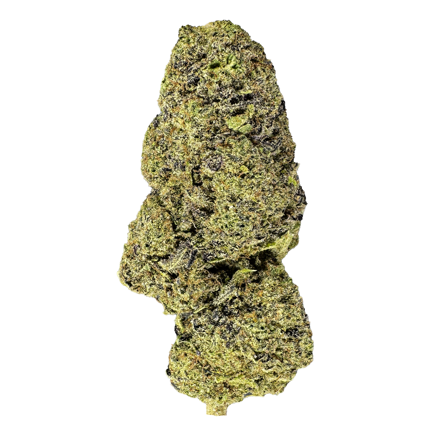 Purple Punch mit Sichtfenster
