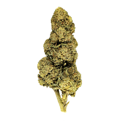 Orange Bud Bulkware