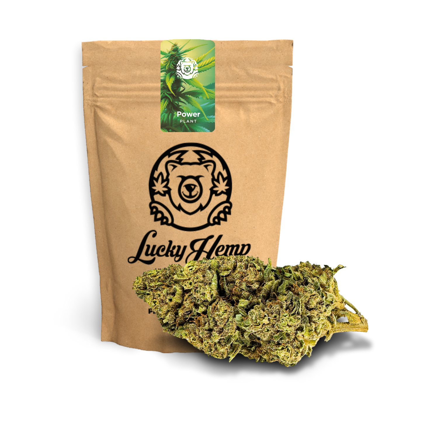 Power Plant Ökopack Blüten Lucky Hemp   