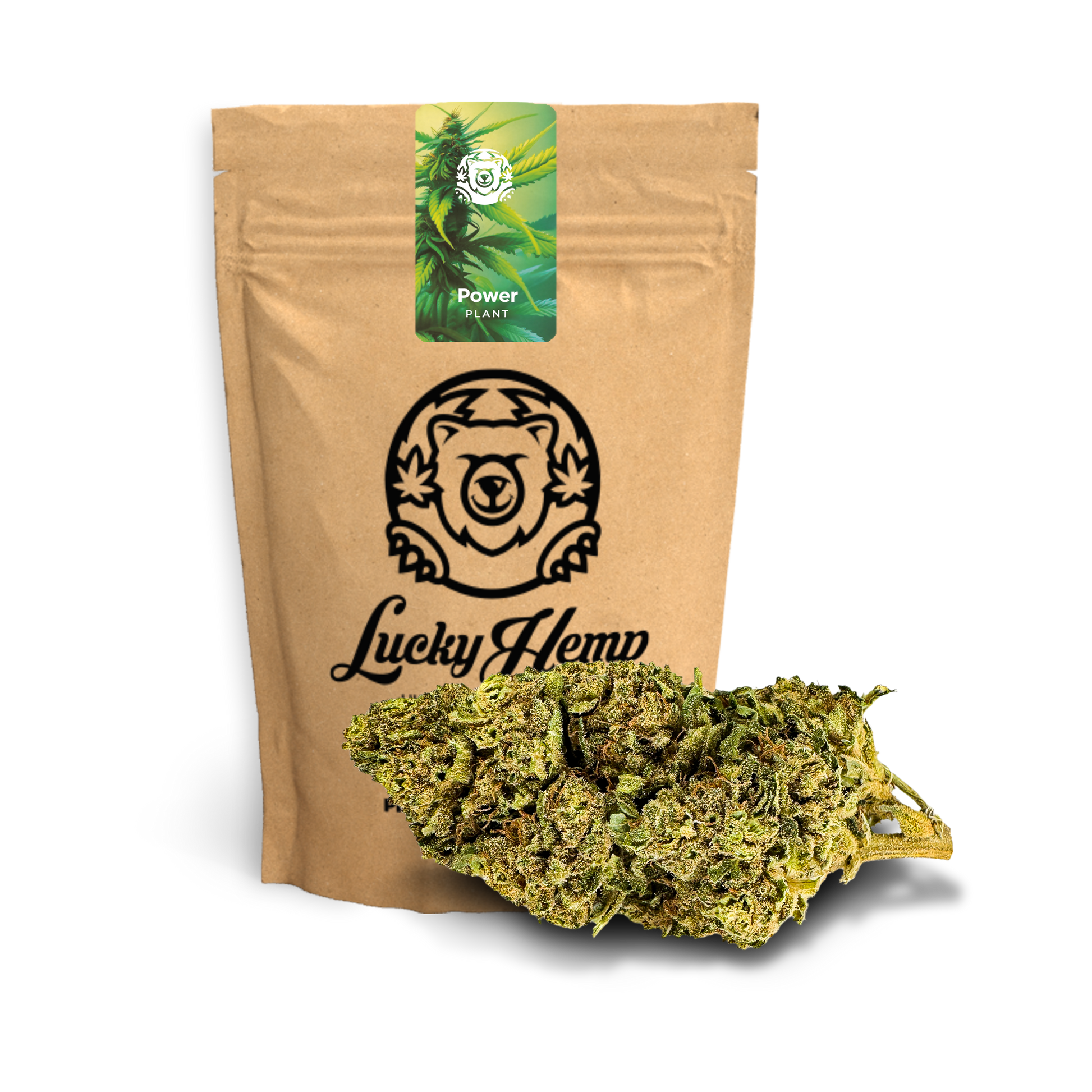 Power Plant Ökopack Blüten Lucky Hemp   