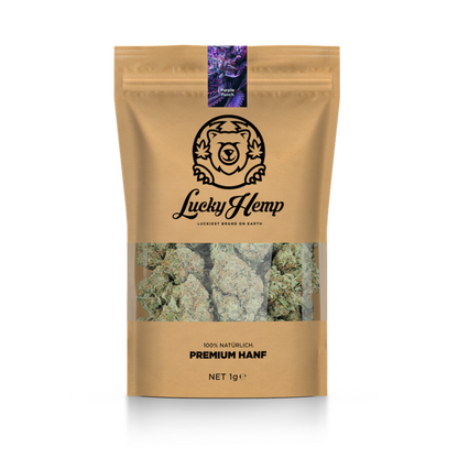 Purple Punch mit Sichtfenster