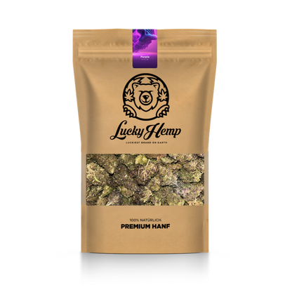 Purple Haze eco pack