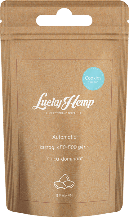 Samen Display 12 Sorten je 5 Packungen
