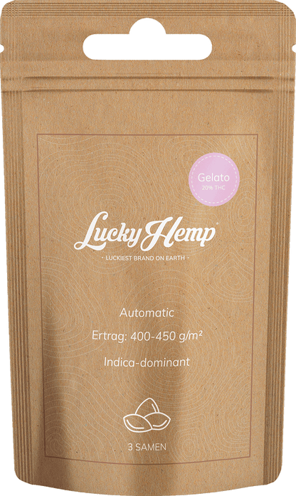 Samen Display 12 Sorten je 5 Packungen