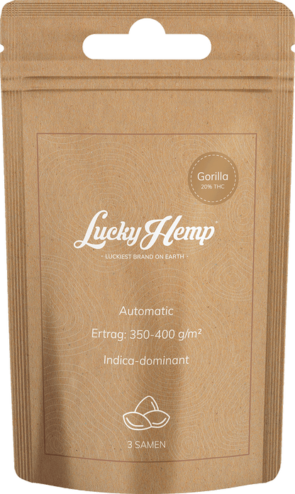 Samen Display 12 Sorten je 5 Packungen