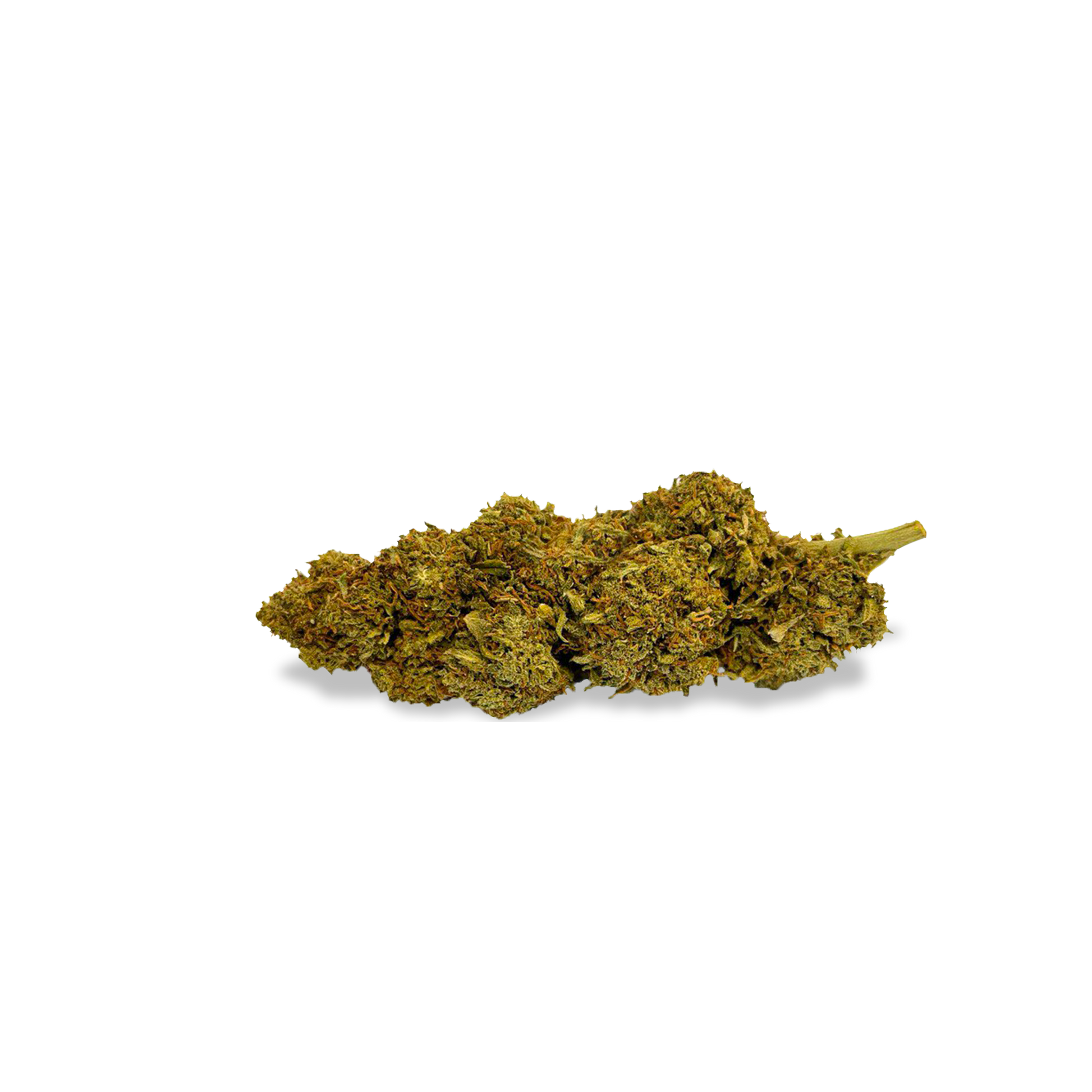 Orange Bud Ökopack Blüten Lucky Hemp   
