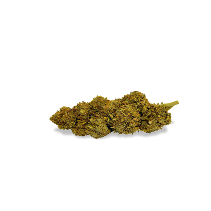 Orange Bud Ökopack Blüten Lucky Hemp   