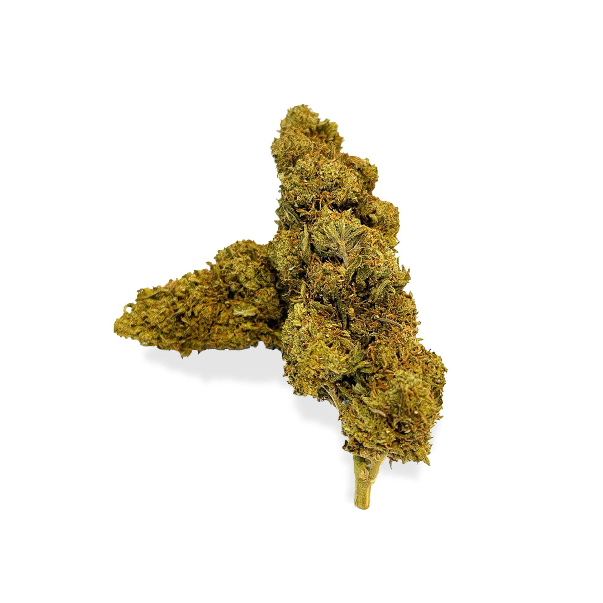 Orange Bud Ökopack Blüten Lucky Hemp   