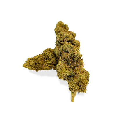 Orange Bud Ökopack Blüten Lucky Hemp   